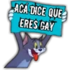 #13 memes variados 9