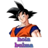 Dragon Ball super 13