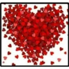 Rosas bellas 6