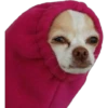 Perros & Gatos memes 5
