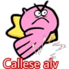 Callese alv