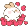 Lovely Bunny bunny! 10