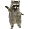 Mapache 10