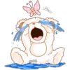 cokki
