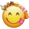 Emojis Mix 17