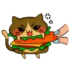 Gato hamburguesa 16