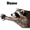 Dame