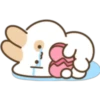Lovely Bunny bunny! 12
