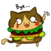 Gato hamburguesa 17