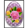 Rosas bellas 9