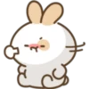 Lovely Bunny bunny! 14
