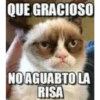 Memes variados 3 14