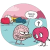 corazón y cerebro2 14