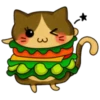 Gato hamburguesa 20
