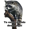 Te estoy viendo
desde aquí