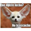 Memes variados 3 16