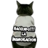 HACIENDO!!!
LA
INGNORACION
***