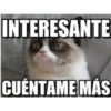 Memes variados 3 17