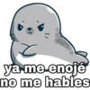 cokki
ya me enojé
no me hables