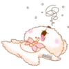 0
cokki