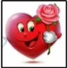 Rosas bellas 13