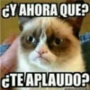 Memes variados 3 23