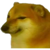 Perros & Gatos memes 25