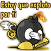 variados 11 24