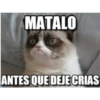 Memes variados 3 24