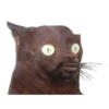 Perros & Gatos memes 26