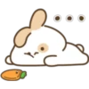 Lovely Bunny bunny! 23
