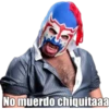 Luchadores 13