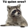 Tú quien eres?