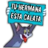 #13 memes variados 29