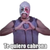 Luchadores 14