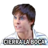 High School Musical 8