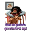my monkey 6