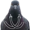 Dove with hands 4