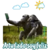 my monkey 7