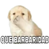 QUE BARBARIDAD
