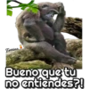 my monkey 8