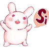 Rabbit 9