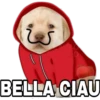 BELLA CIAU