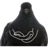 Dove with hands 6