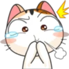 Meow for Mishell 6