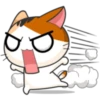 Meow for Mishell 7