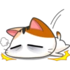 Meow for Mishell 9