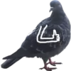Dove with hands 7