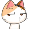 Meow for Mishell 11