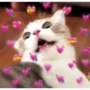 Cats with hearts 5